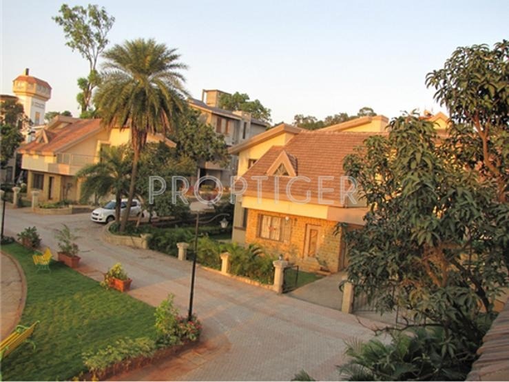 Images for Elevation of Ashapura Autumn Glow