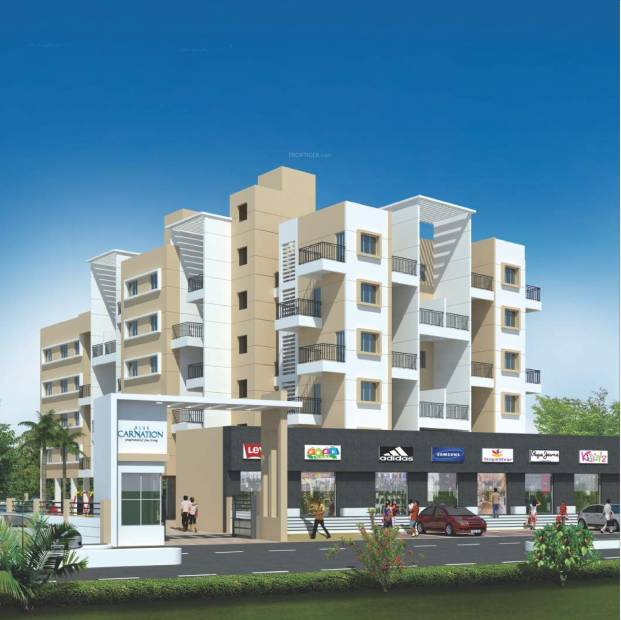 Images for Elevation of Blue Ventures Carnation