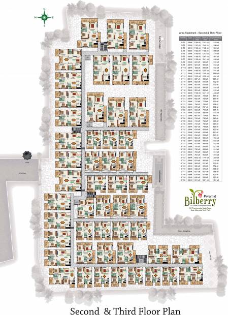 Images for Cluster Plan of Pyramid Bilberry