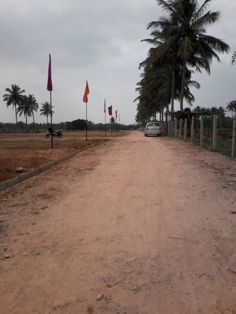  white-park Images for Main Other of Tekton White Park