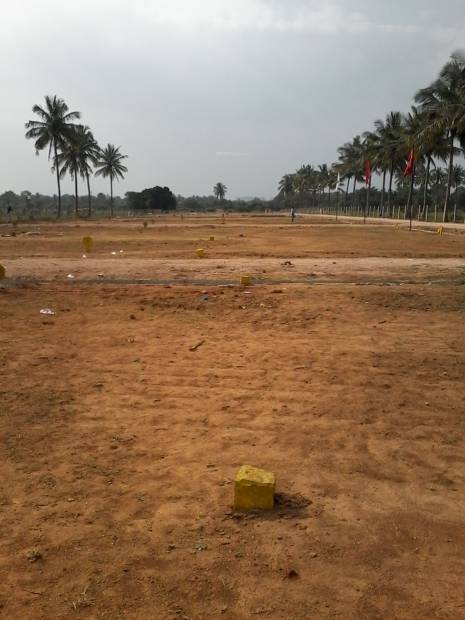  white-park Images for Main Other of Tekton White Park
