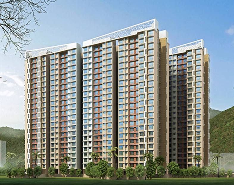  rudraksha Images for Elevation of Raj Rudraksha