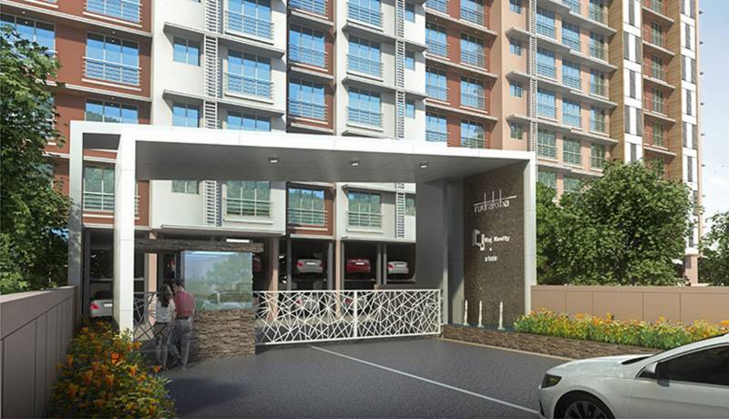 rudraksha Images for Elevation of Raj Rudraksha