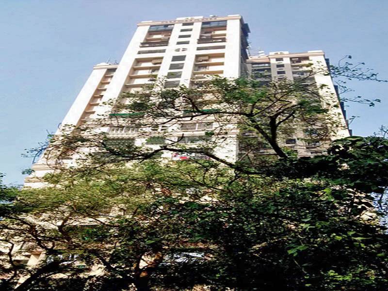  tower Elevation