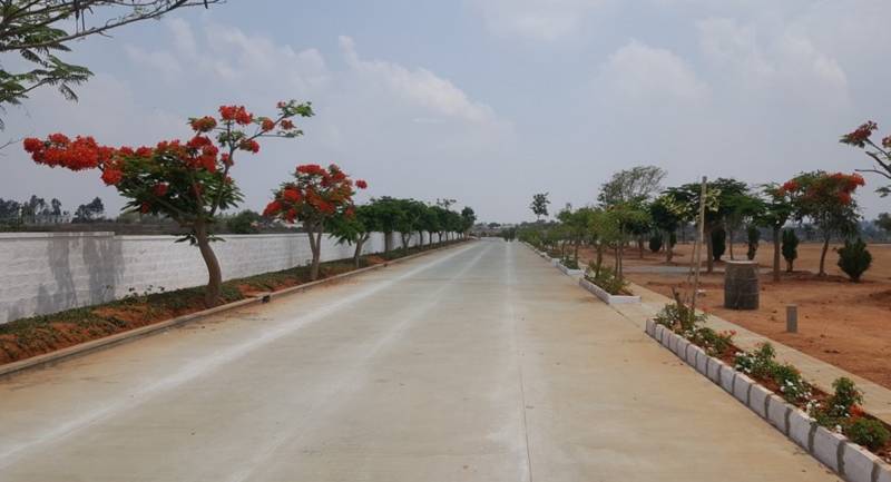 Images for Main Other of Siddhartha Sunny Vistaa