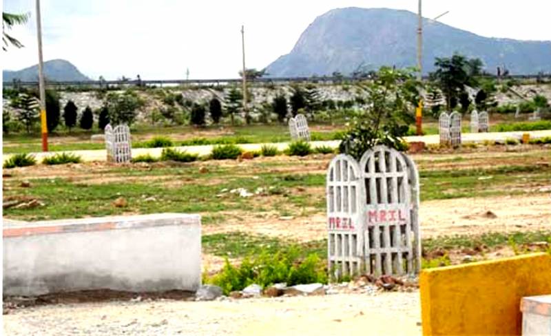 Images for Main Other of Maxworth Jagruthi