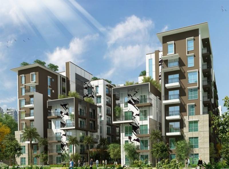  maple-square-a Images for Elevation of Estella Maple Square A