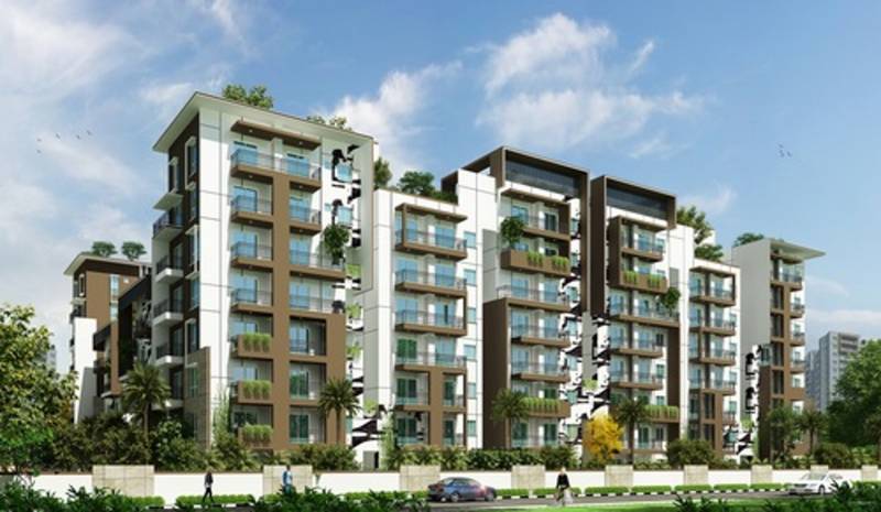  maple-square-a Images for Elevation of Estella Maple Square A