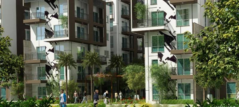  maple-square-a Images for Elevation of Estella Maple Square A