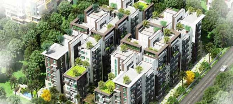  maple-square-a Images for Elevation of Estella Maple Square A
