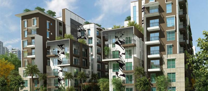  maple-square-a Images for Elevation of Estella Maple Square A