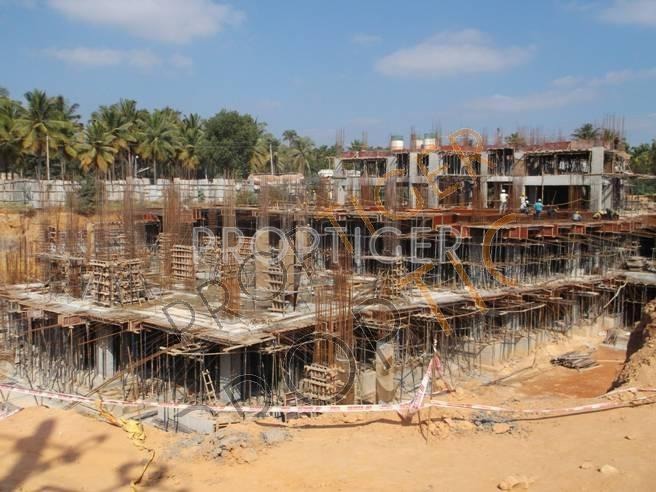 Images for Construction Status of Citrus Shelton