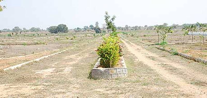 Images for Main Other of Kapil Nedunoor