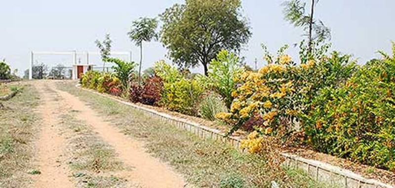 Images for Main Other of Kapil Nedunoor