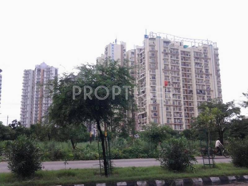 Images for Elevation of Mahagun Group Maple
