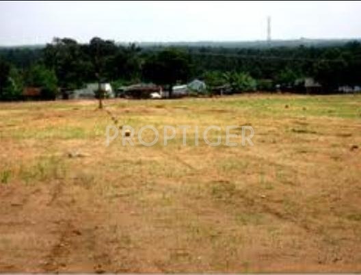 Images for Elevation of Big Bull Ashiana I