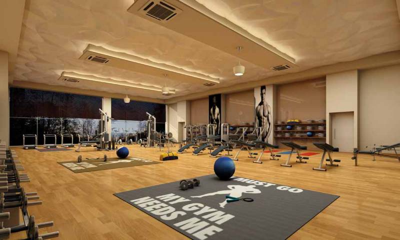 Images for Amenities of Tycoons Codename Goldmine