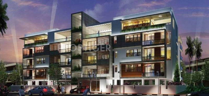 Images for Elevation of Axis Concept Axis Viviana