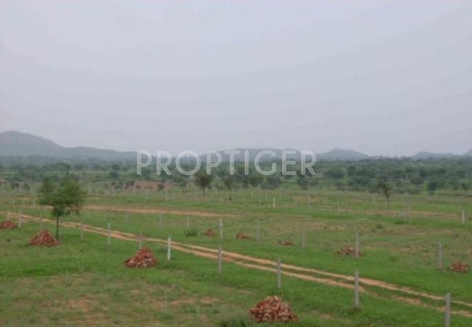 Images for Elevation of Smilee Nisarga