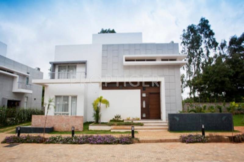 Images for Elevation of Aakruthi Solitaire