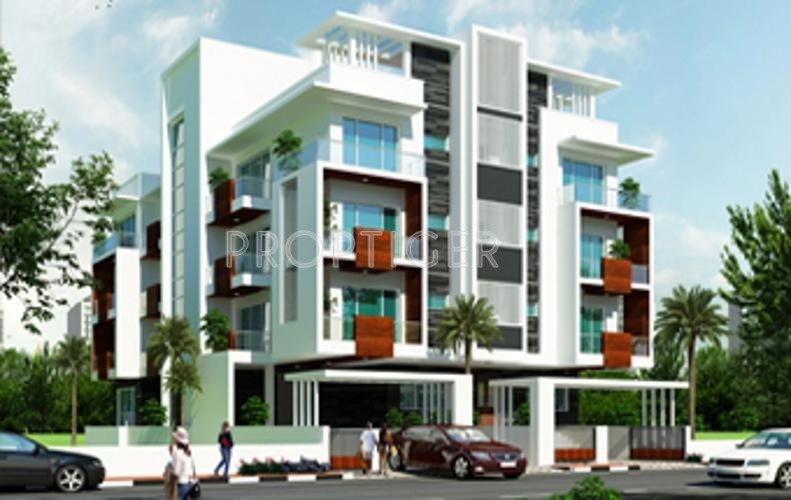 Elegant Properties Pansy