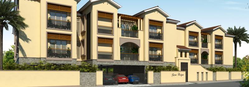 Images for Elevation of Chaitanya Guru Kripa