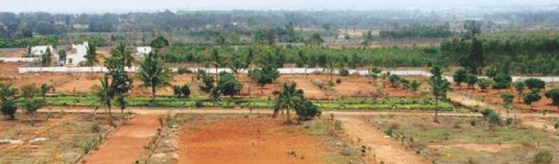 Images for Main Other of Mithrabhoomi Nature Town