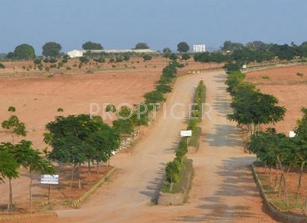 Sai Sandeep Developers L R Hill County
