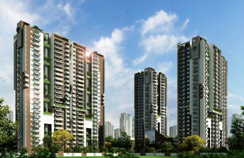 Images for Elevation of Myhna Myhna Maple