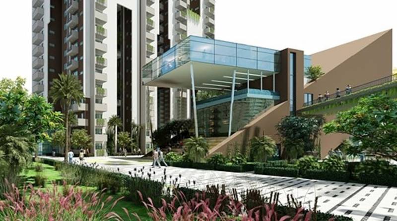 Images for Elevation of Myhna Myhna Maple