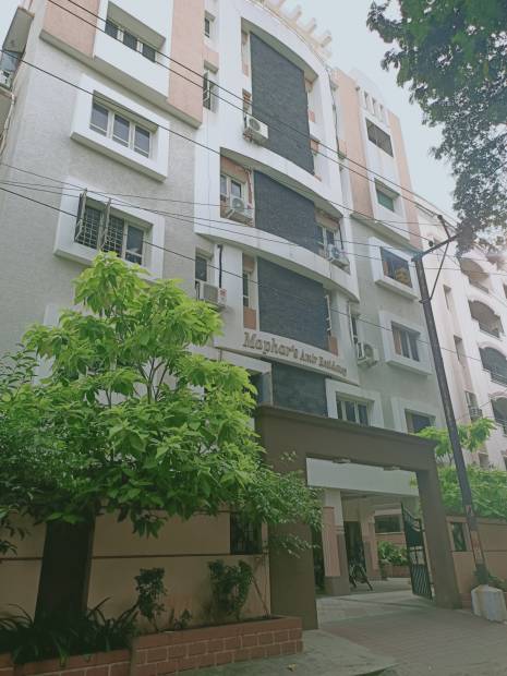  amir-residency Images for Project