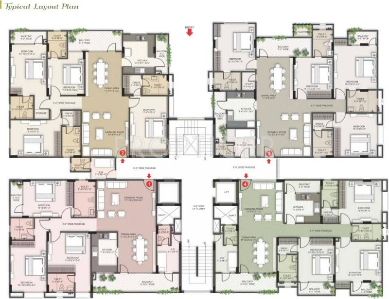Images for Cluster Plan of Siddha Basil