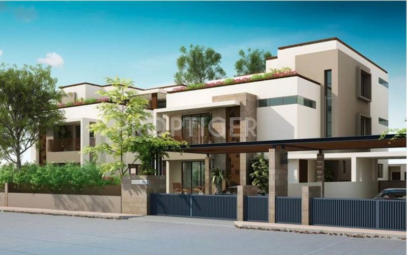 Images for Elevation of Elegance Earth Errita