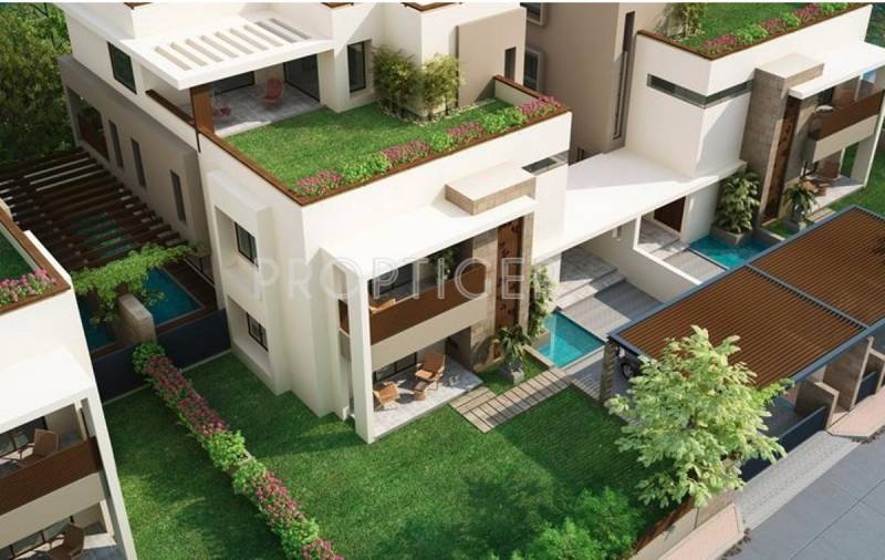 Images for Elevation of Elegance Earth Errita