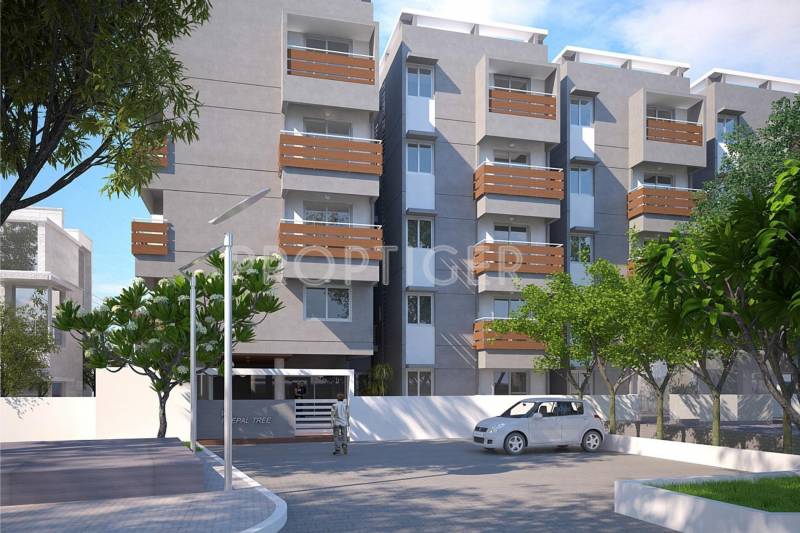  peepal-tree Images for Elevation of Columbia Peepal Tree