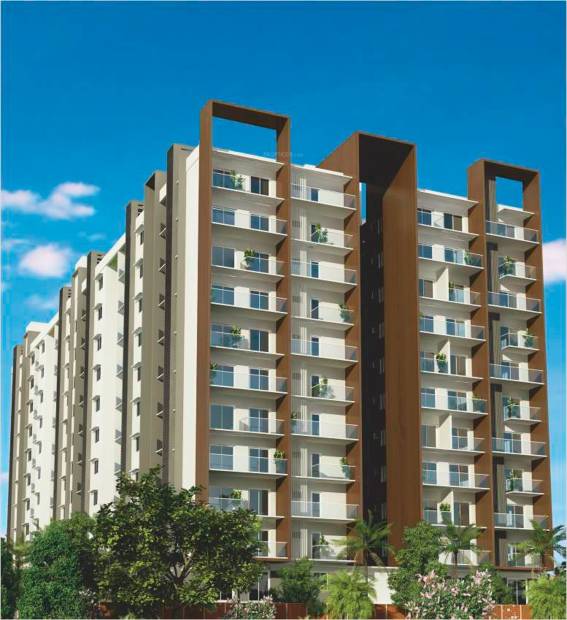  the-nest Images for Elevation of SBR The Nest