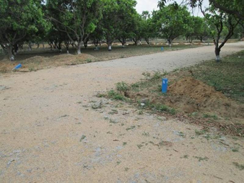 Images for Main Other of BVM Infra Indraprastha