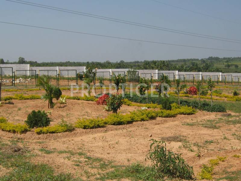 Images for Elevation of AVS Villas Sunfield Plots