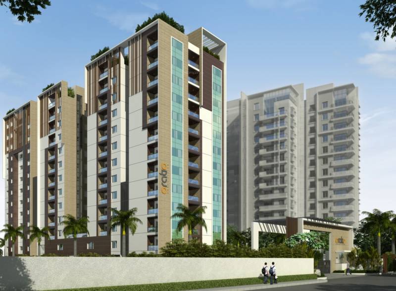 Images for Elevation of Fifth Oratio