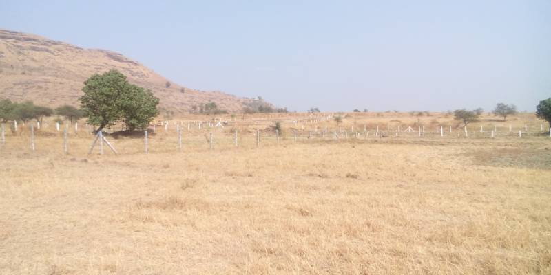 Images for Main Other of Nandini Viswa