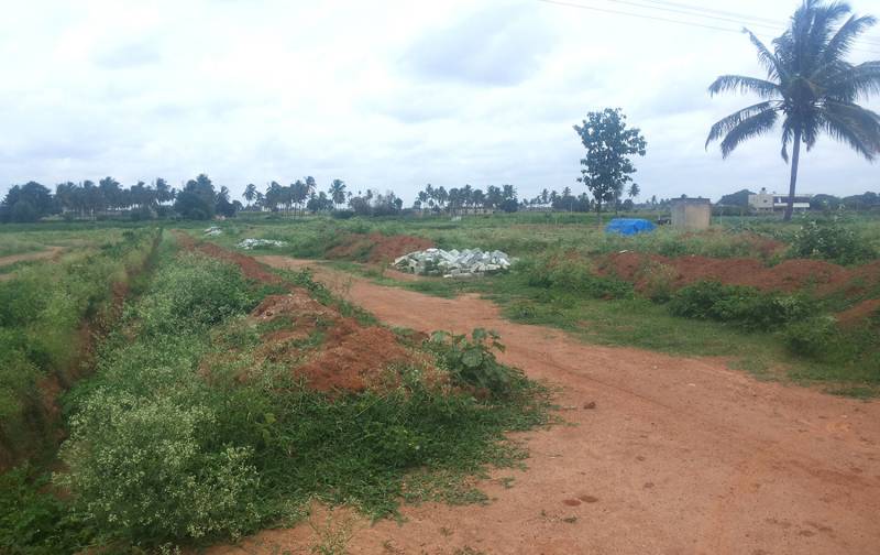 Images for Main Other of Manani Midtown