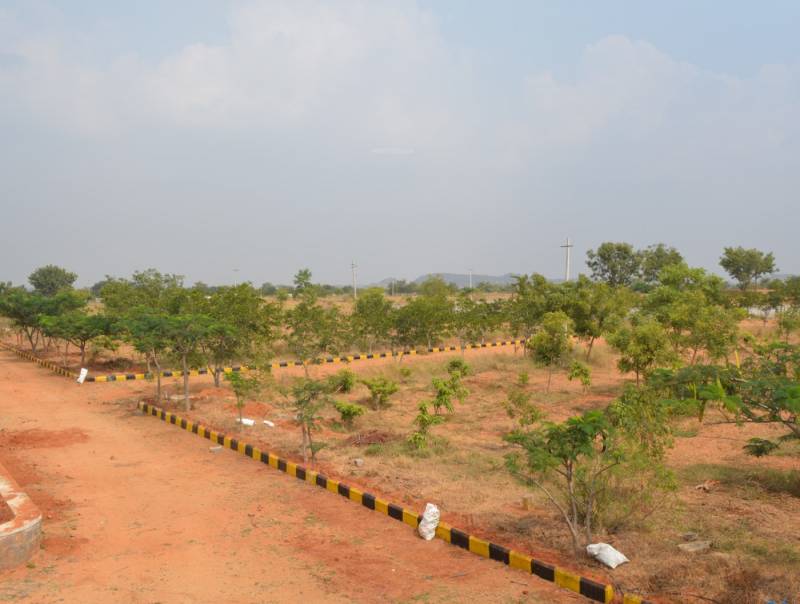 Images for Main Other of Varistha Windward Park
