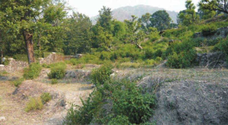 Images for Elevation of SN Group Dehradun Kervan Hills