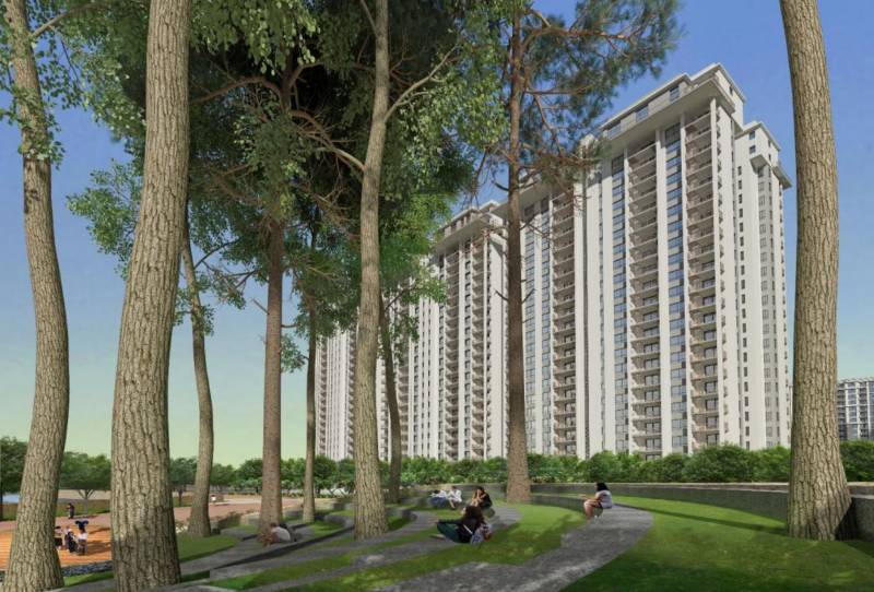 Images for Elevation of G Corp The Icon South