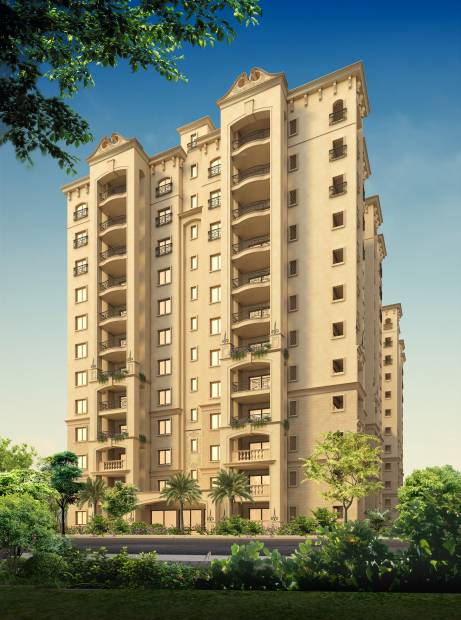  saviero Images for Elevation of Legacy Saviero