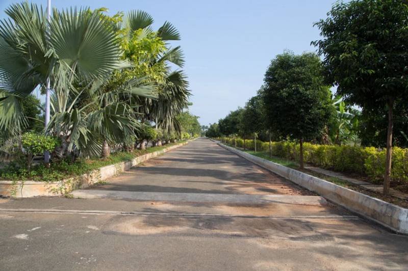 Images for Main Other of Chilukuri North Extension Water Front Project Phase IX