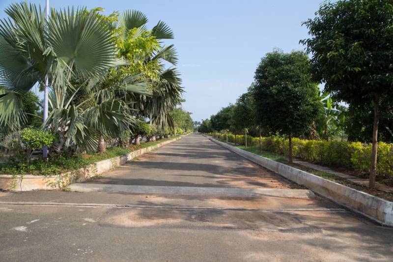 Images for Main Other of Chilukuri North Extension Water Front Project Phase VII