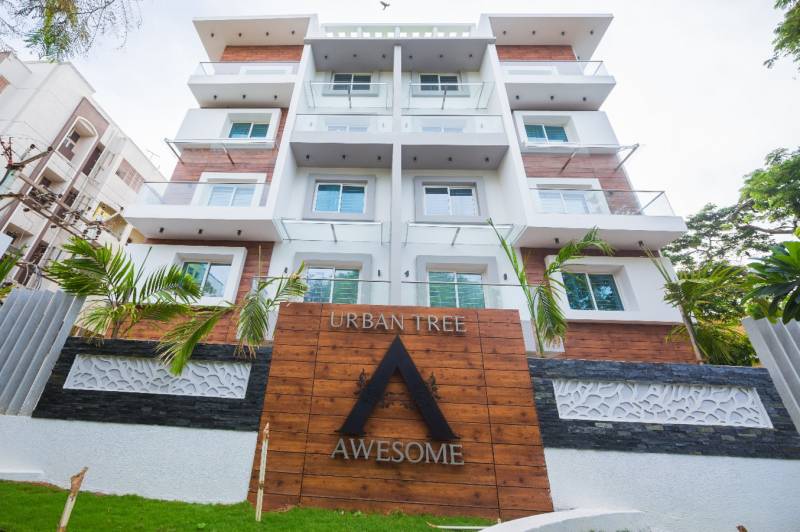 Images for Elevation of Urban Tree Awesome