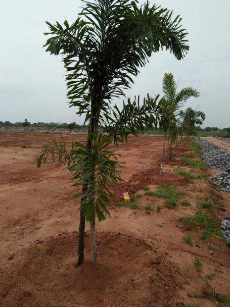 Images for Main Other of Mudra Resorts And Farm Land