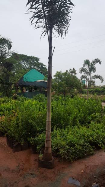Images for Main Other of Mudra Resorts And Farm Land